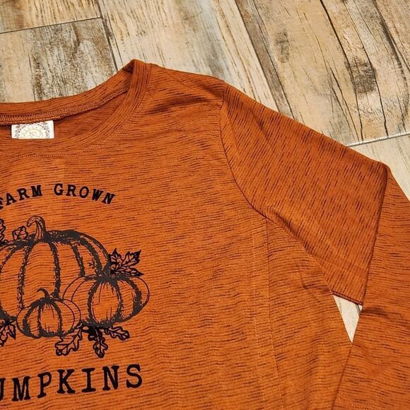 🔸️TruSelf Rust Orange Autumn/Fall Pumpkin 3/4 Sleeve Top Large - Picture 4 of 12